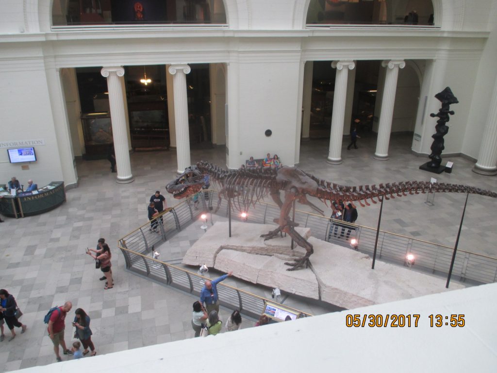 Inside Chicago’s: “Field Museum of Natural History” IMG_6617IMG_6649IMG_6749IMG_67